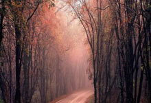 ATP德拉海滩站-布云朝克特送蛋大胜土方凛辉.