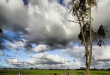 bb体育官网：各为其主！姆巴佩禁区突破倒地，魔笛立即跑到面前说：别假摔.