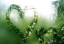 bb体育官网：德甲：莱比锡3比4败给霍芬海姆.